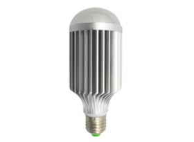 Security LED Bulb